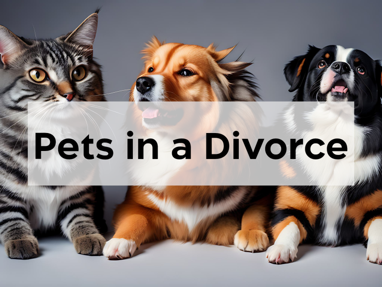 Read more about the article Pets in a Divorce
